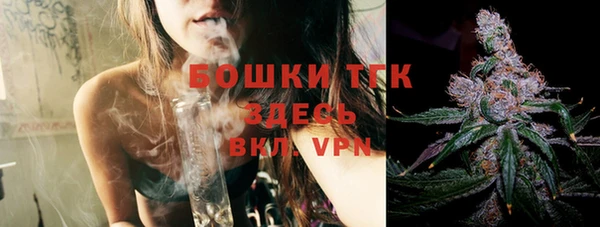 стаф Богданович