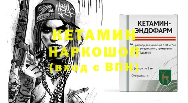стаф Богданович