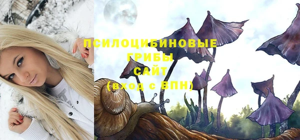 стаф Богданович