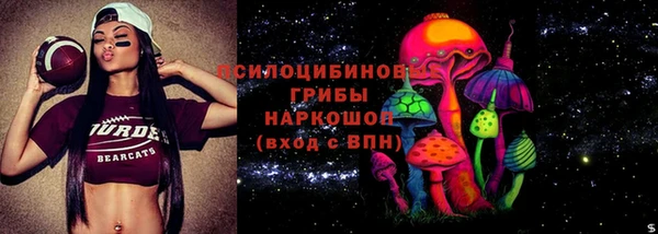 стаф Богданович
