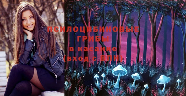 стаф Богданович